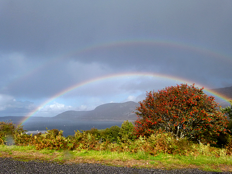 Thurso-Ullapool road rainbows & rowan tree © 2012 Scotiana