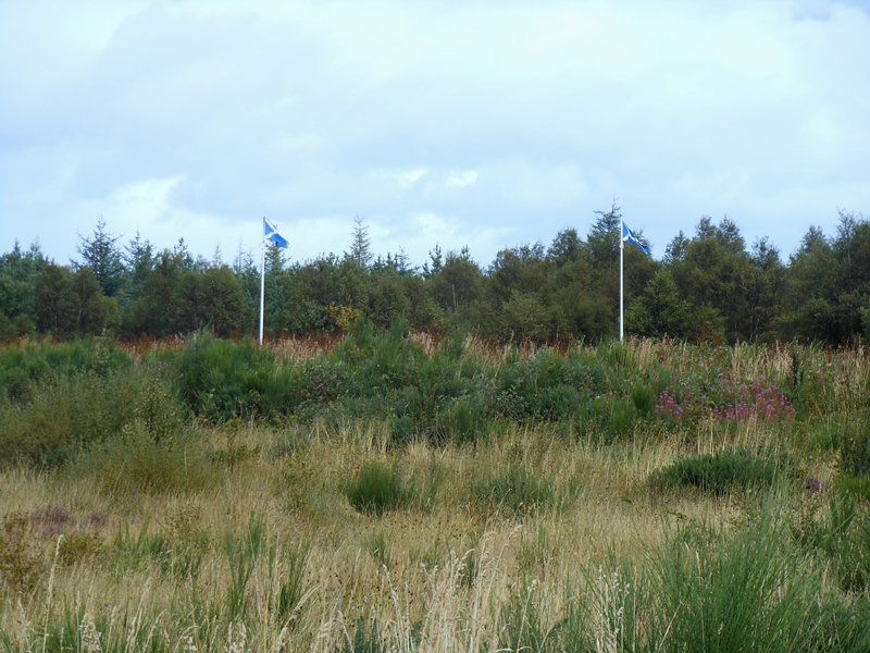 Culloden battlefield Scottish flags © 2012 Scotiana
