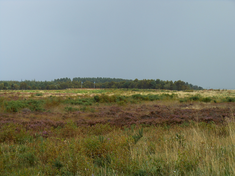Culloden battlefield Scottish side © 2012 Scotiana