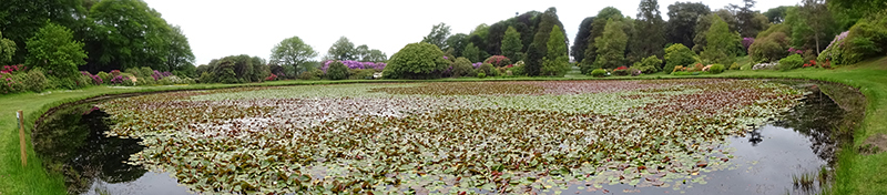 Panoramic view of the Lily Pond in Kennedy Castle Gardens © 2015 Scotiana