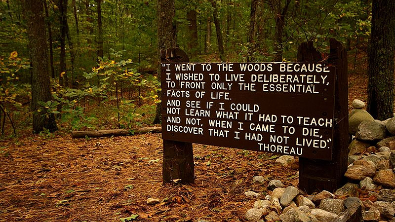 Thoreau quote near his cabin Walden pond site