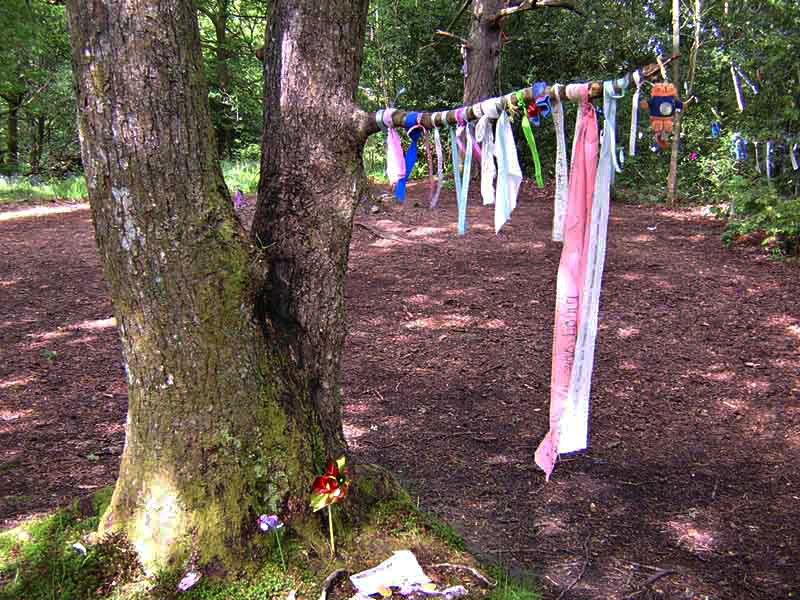 Doon Hill fairy tree Aberfoyle © 2004 Scotiana