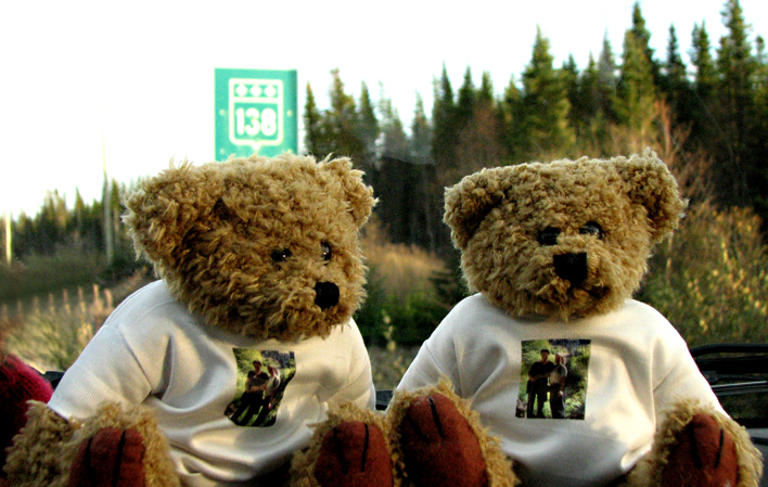 Pointe-Parent end of  road 138 Teddy-bear 'mascottes' Scotiana 2010