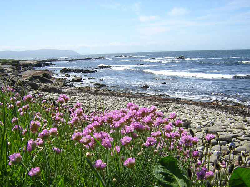 Kintyre peninsula western coast © 2004 Scotiana